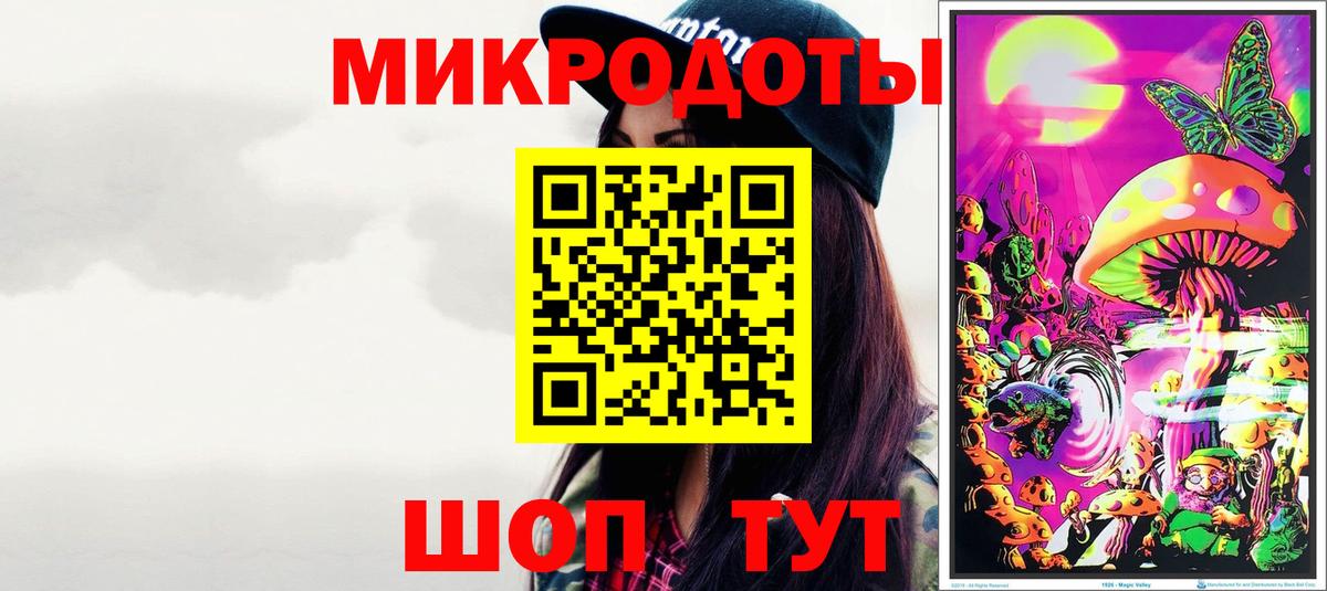 Псилоцибиновые грибы Psilocybe Дмитров